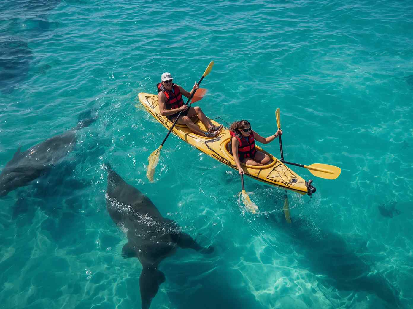 Baja_California_Sur_Estado