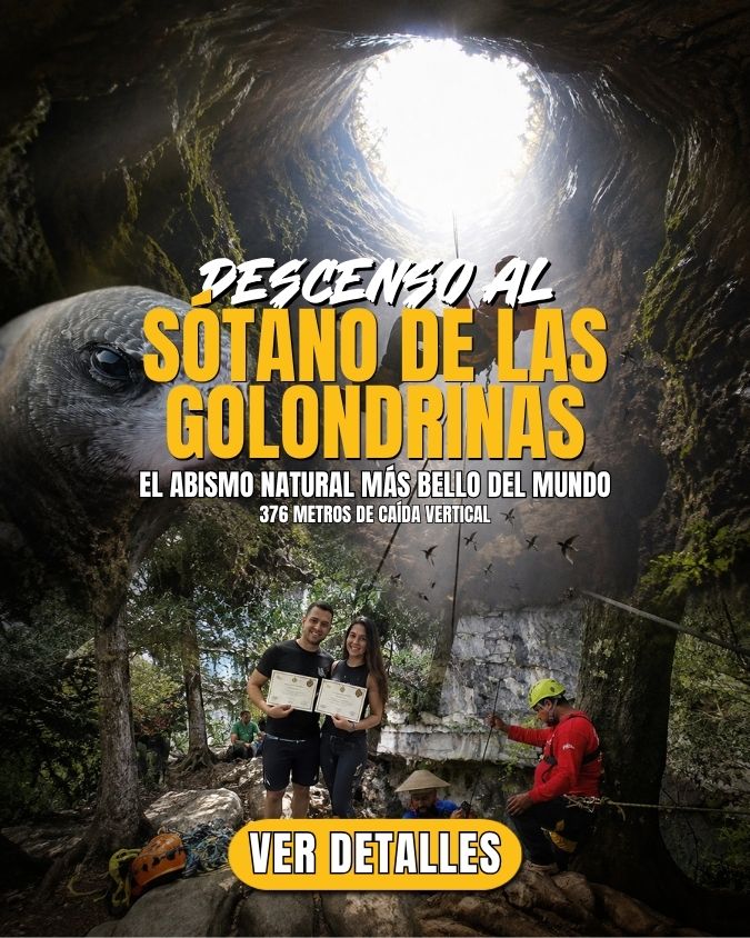 Golondrinas